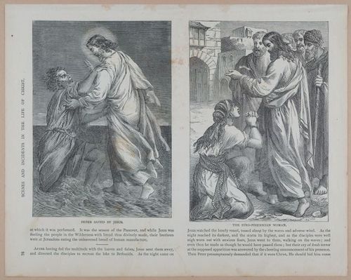 E251 - Pictorial Family Bible - 19th Century - i2552