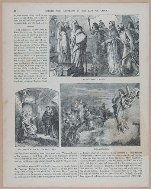 E251 - Pictorial Family Bible - 19th Century - i2556