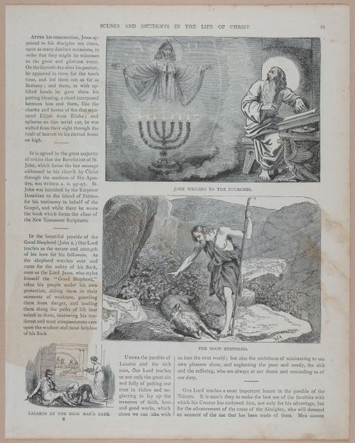 E251 - Pictorial Family Bible - 19th Century - i2557