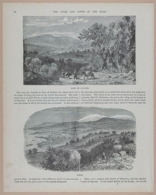 E251 - Pictorial Family Bible - 19th Century - i2560