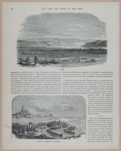 E251 - Pictorial Family Bible - 19th Century - i2562