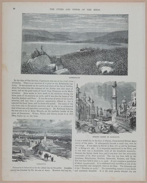 E251 - Pictorial Family Bible - 19th Century - i2564
