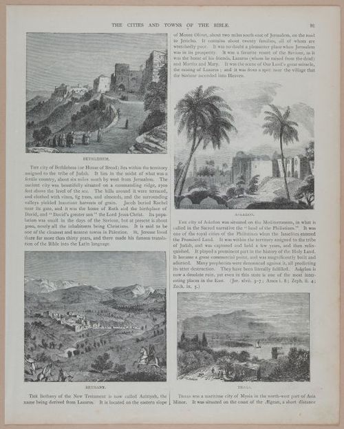 E251 - Pictorial Family Bible - 19th Century - i2567