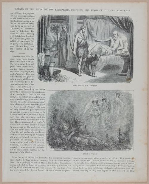 E251 - Pictorial Family Bible - 19th Century - i2573