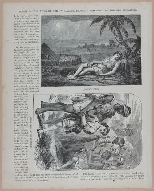 E251 - Pictorial Family Bible - 19th Century - i2574