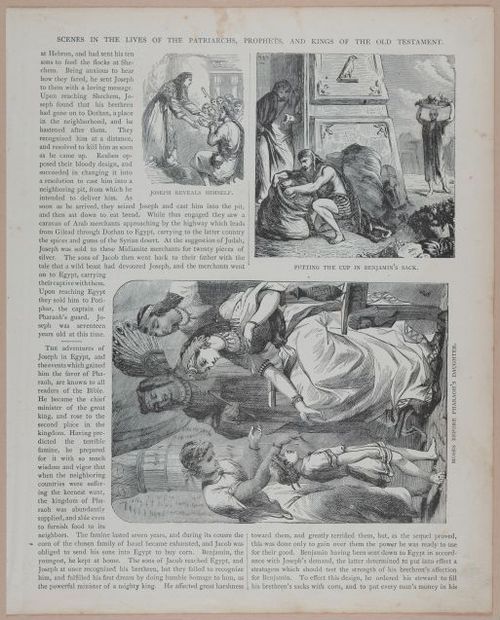 E251 - Pictorial Family Bible - 19th Century - i2575
