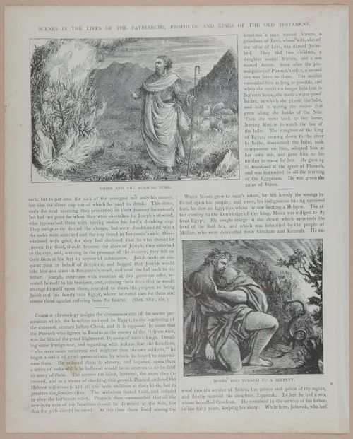 E251 - Pictorial Family Bible - 19th Century - i2576