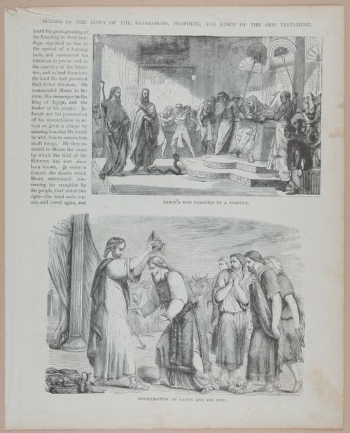 E251 - Pictorial Family Bible - 19th Century - i2577