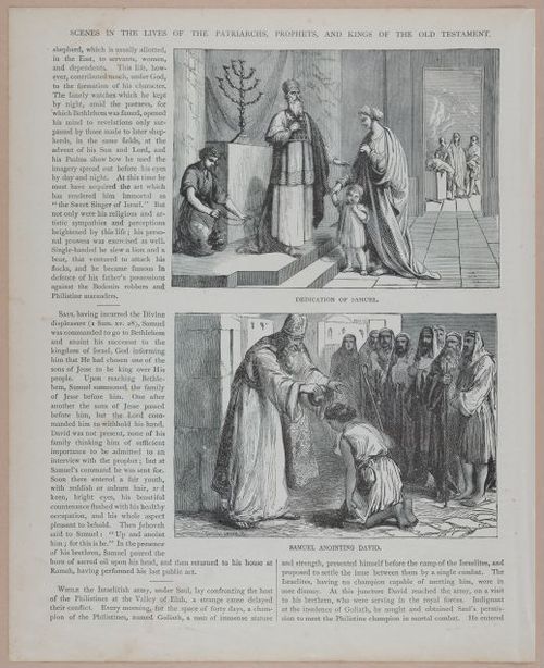 E251 - Pictorial Family Bible - 19th Century - i2582