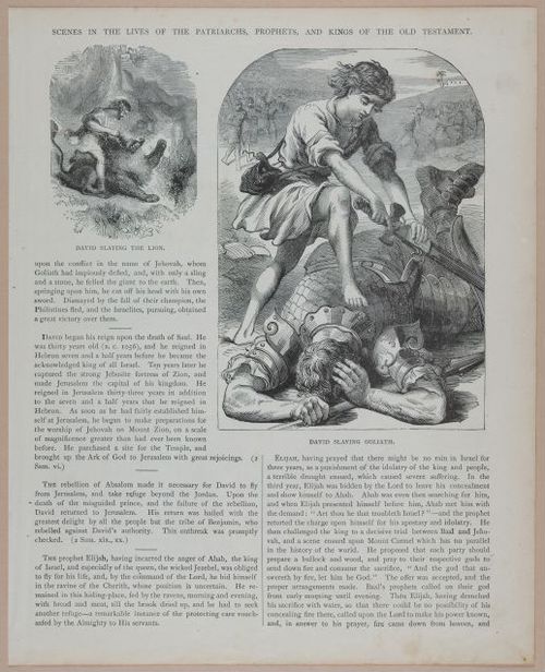 E251 - Pictorial Family Bible - 19th Century - i2583