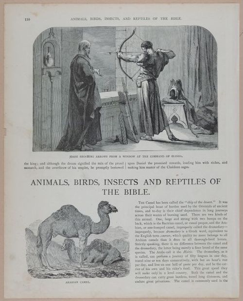 E251 - Pictorial Family Bible - 19th Century - i2586