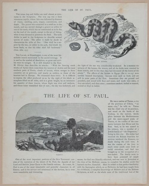 E251 - Pictorial Family Bible - 19th Century - i2598