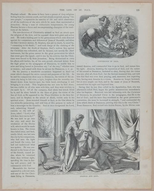 E251 - Pictorial Family Bible - 19th Century - i2599