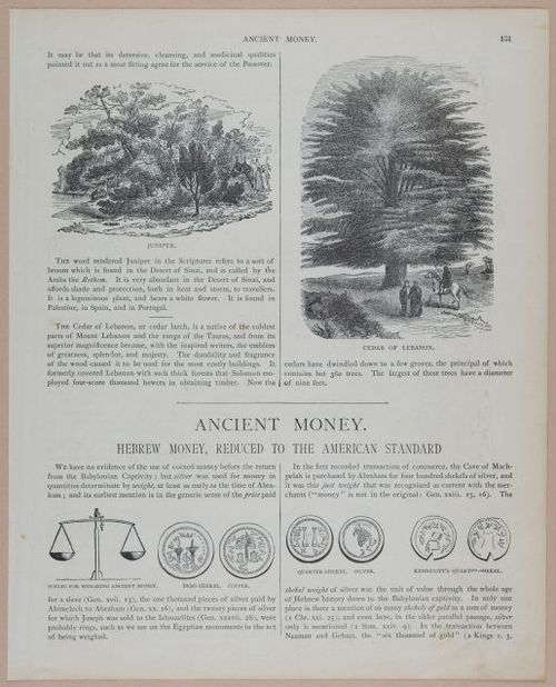 E251 - Pictorial Family Bible - 19th Century - i2607