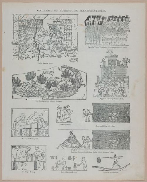 E251 - Pictorial Family Bible - 19th Century - i2625