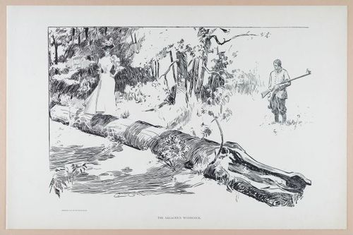  E252 - Sketches and Cartoons by Charles Dana Gibson, 1898 - 2712
