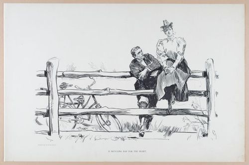  E252 - Sketches and Cartoons by Charles Dana Gibson, 1898 - 2720