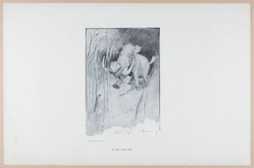 E252 - Sketches and Cartoons by Charles Dana Gibson, 1898 - 2723
