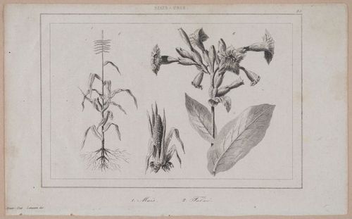 E255 - Etas Unis, 1837 - 2845