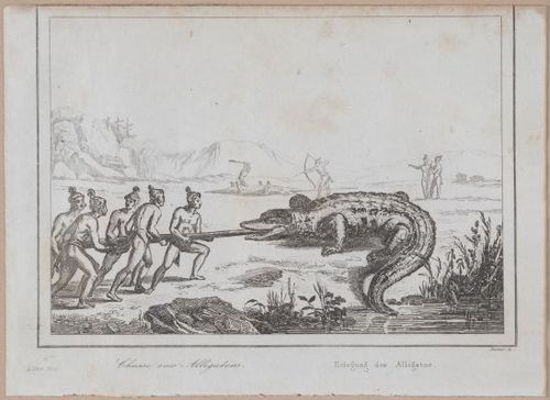 E255 - Etas Unis , 1837 - 2856