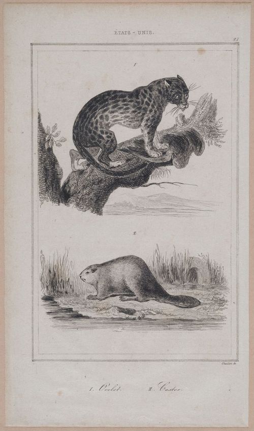 E255 - Etas Unis , 1837 - 2869