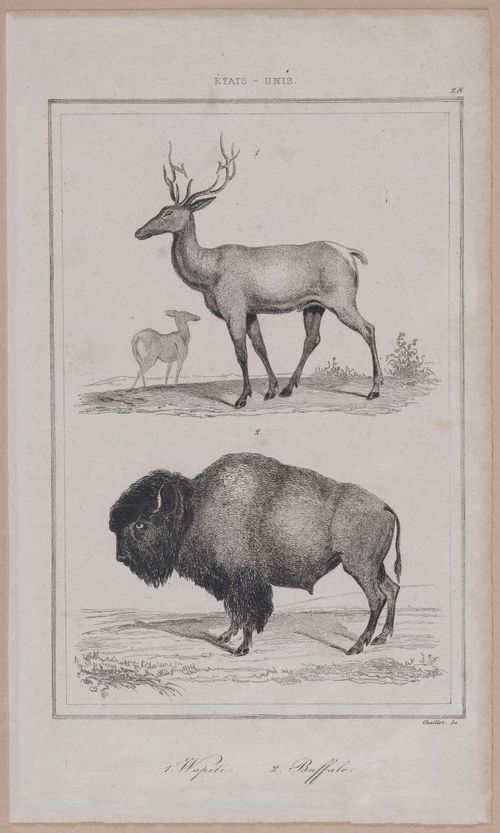 E255 - Etas Unis , 1837 - 2870
