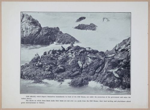 E257 - San Francisco and California - 1906 - i2920