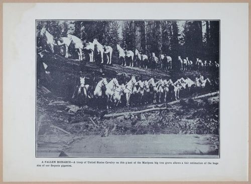 E257 - San Francisco and California - 1906 - i2973
