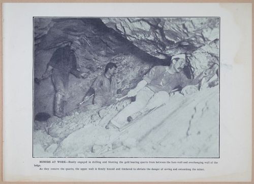 E257 - San Francisco and California - 1906 - i2978