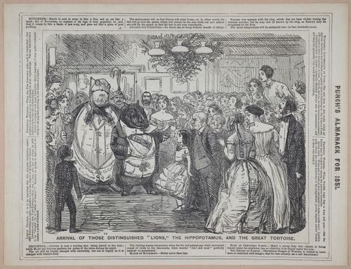 E258 - Punch's Almanac - 1842-1861 - i3175