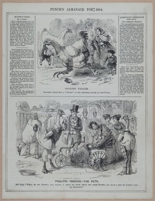E258 - Punch's Almanac - 1842-1861 - i3210