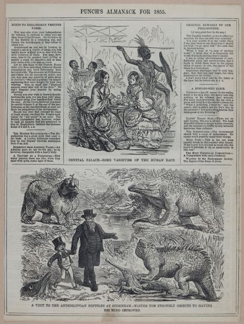 E258 - Punch's Almanac - 1842-1861 - i3224