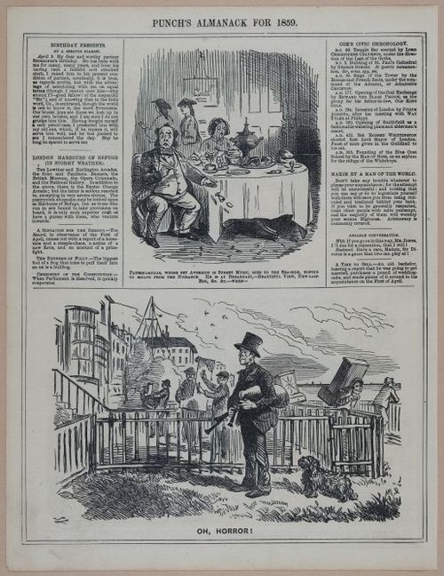 E258 - Punch's Almanac - 1842-1861 - i3267