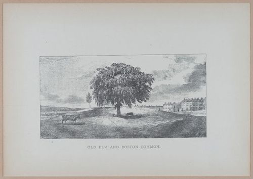 E262 - Antique Views of Ye Towne of Boston - 1882 - i3684
