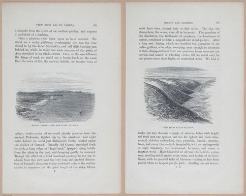 E263 - The Land of Israel - 1866 - 3910-3912