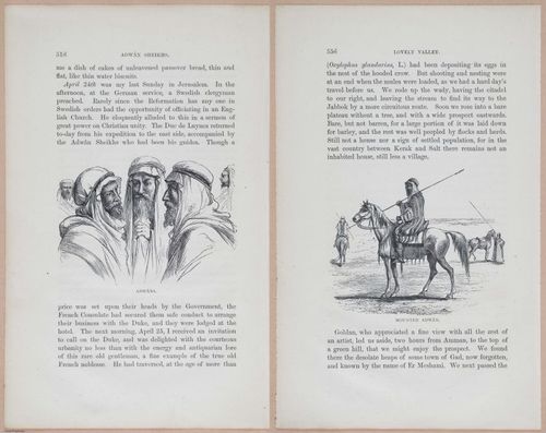 E263 - The Land of Israel - 1866 - 3955-3961