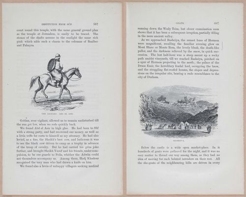 E263 - The Land of Israel - 1866 - 3964-3965