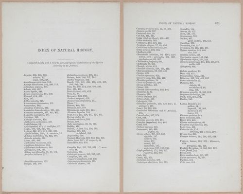 E263 - The Land of Israel - 1866 - 3980-3981