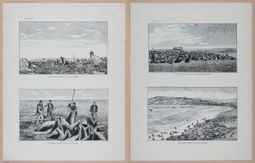 E266 - Report of the Cruise of the Steamer Corwin in the Arctic Ocean - 1885 - 4024-4026