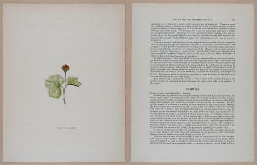 E266 - Report of the Cruise of the Steamer Corwin in the Arctic Ocean - 1885 - 4110-4111