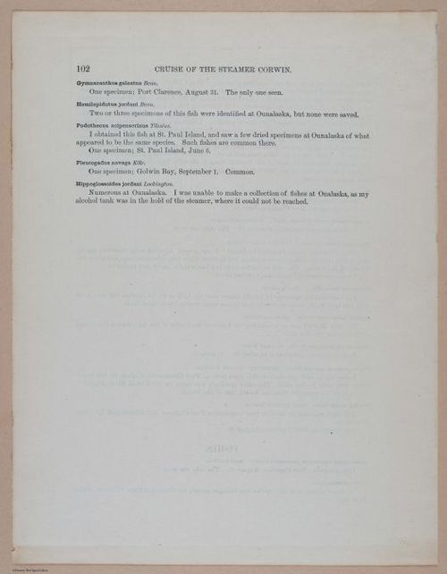  E266 - Report of the Cruise of the Steamer Corwin in the Arctic Ocean - 1885 - 4129