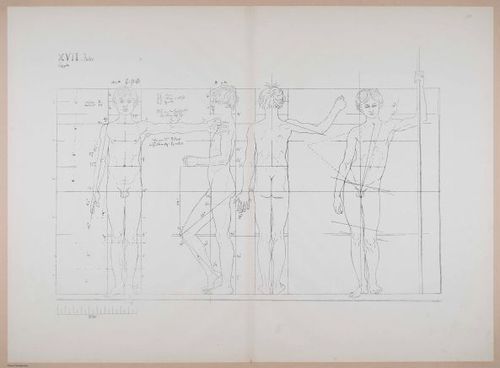 E274 - Atlas Zu Polyclet, 1877 - 4635