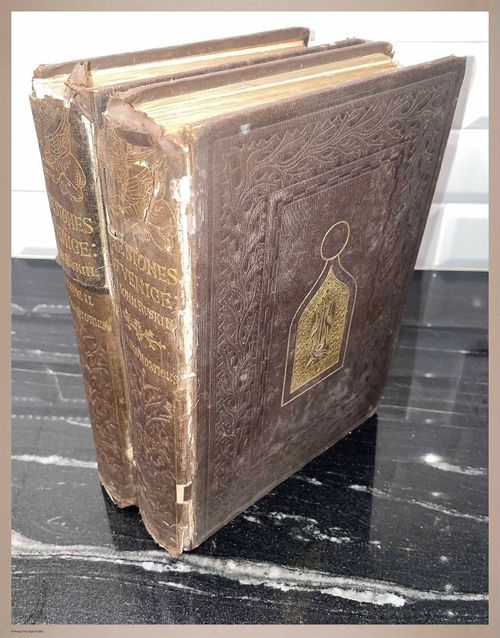 E276 - The Stones of Venice, by John Ruskin 1858 - 6138