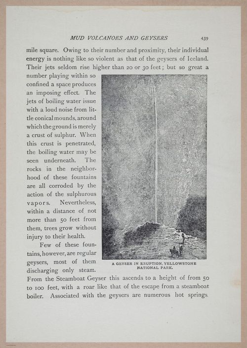 E286 - The San Francisco Calamity - i5174