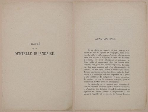 E304 - Traite de la Dentelle Irlandaise (Irish Lace Patterns) 1870 - 7364-7365