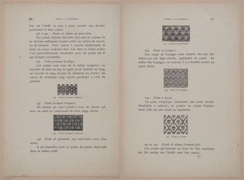 E304 - Traite de la Dentelle Irlandaise (Irish Lace Patterns) 1870 - 7430-7431