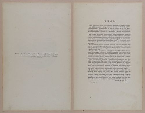 E309 - Anatomical Atlas - 8078-8079