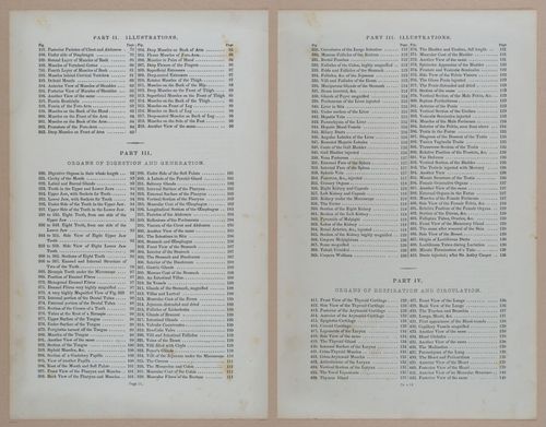 E309 - Anatomical Atlas - 8082-8083