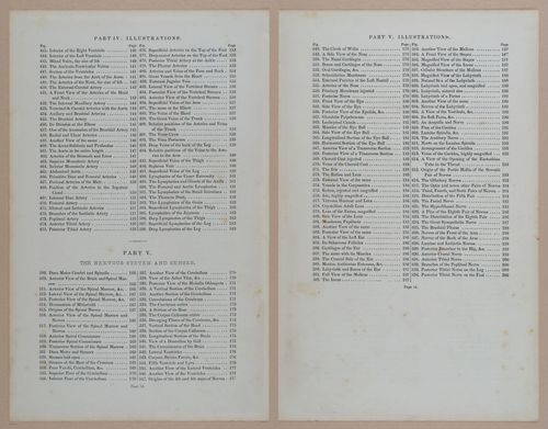 E309 - Anatomical Atlas - 8086-8087