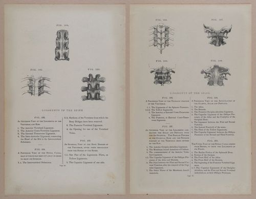E309 - Anatomical Atlas - 8120-8121